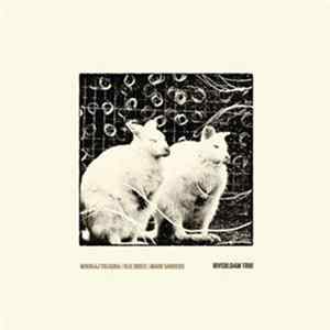 Mikołaj Trzaska / Olie Brice / Mark Sanders - Riverloam Trio FLAC