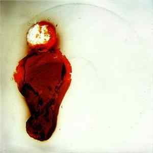 Stubborn Heart - Better Than This FLAC