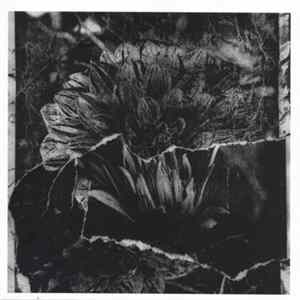Hostage Pageant - Impediment FLAC