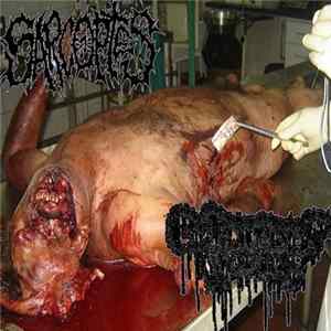 Sarcoptes, Cutaneous Horns - Sarcoptes / Cutaneous Horns FLAC