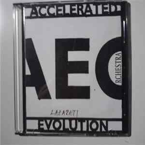Accelerated Evolution Orchestra - Live In Lazareti, Dubrovnik 01. 09. 2005. FLAC