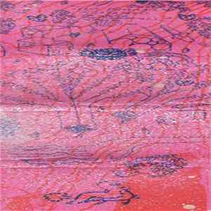 Clay's Festering Lungs - Silver Skull FLAC