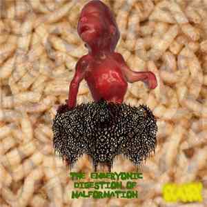 Rectum Phlegm - The Embryonic Digestion of Malformation FLAC