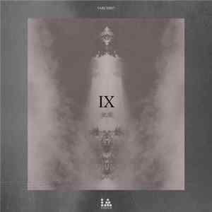 Various - Illegal Alien IX Years FLAC