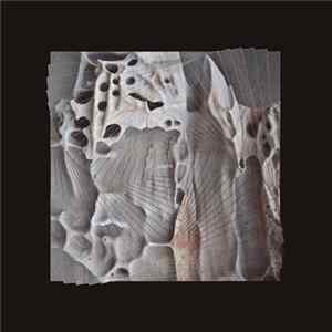 Cauto - Cauto FLAC