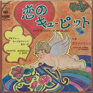 Proffer, Marmelzat & Reed - Love Is Alive (In My Heart) FLAC