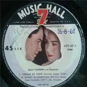 Billy Vaughn Y Su Orquesta - Verano De Amor FLAC