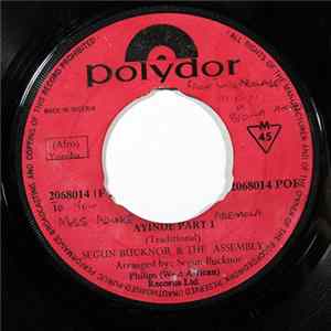 Segun Bucknor & The Assembly - Ayinde FLAC