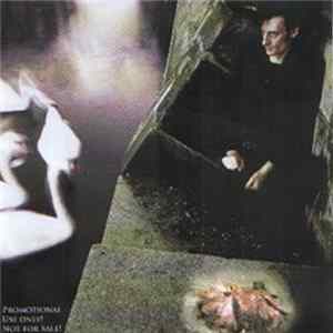 Steve Morell - Loneliness FLAC