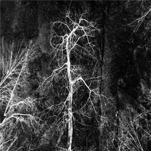 Malicious Wonderland - Pessimism FLAC