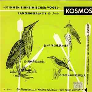Dr. G. Thielcke - Stimmen Einheimischer Vögel FLAC