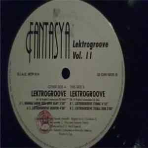 Fantasya - Lektrogroove Vol. 2 FLAC