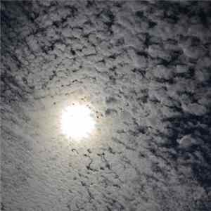 Duff Egan - Natural Light FLAC