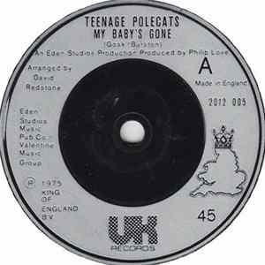 Teenage Polecats - My Baby's Gone FLAC