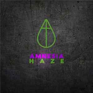 Doktor Sterben - Amnesia Haze FLAC