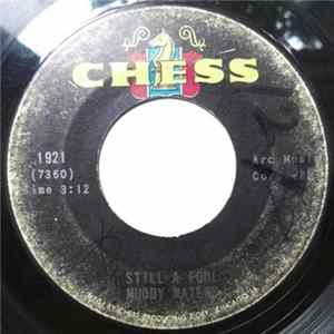Muddy Waters - Put Me In Your Lay Away / Still A Fool FLAC