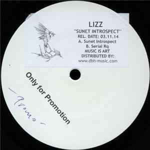 LIZZ - Sunet Introspect FLAC