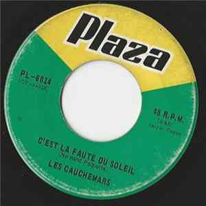 Les Cauchemars - C'est La Faute Du Soleil FLAC