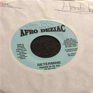 Determine / J. Kelly - Hands In Di Air / How Come, How Long FLAC