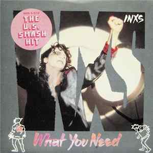 INXS - What You Need FLAC