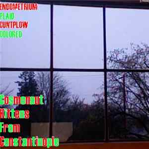 Plaid Colored / Endometrium Cuntplow - Cosmonaut Kittens From Constantinople FLAC