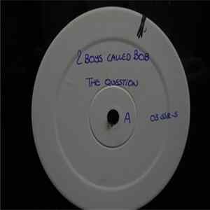 2 Boys Called Bob - The Question FLAC