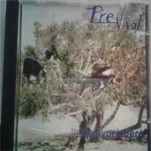 Daisygrinders - Previval FLAC
