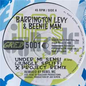 Barrington Levy & Beenie Man - Under Mi Sensi FLAC