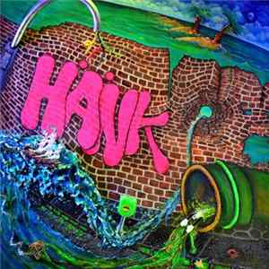 Salaiva - Hänk FLAC