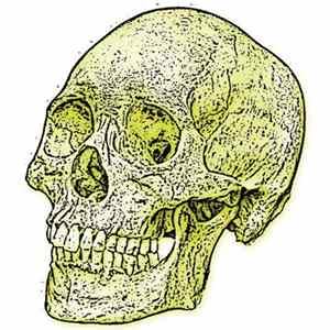 SRVTR / Consume And Expire / Industrial Steve / Soulmate From Space - The Yellow Skull FLAC