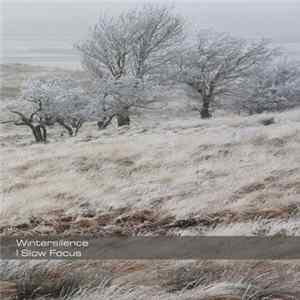 Wintersilence - Slow Focus FLAC